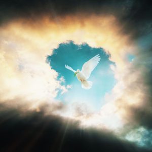 Holy Spirit Enablement: Transformative Ministries