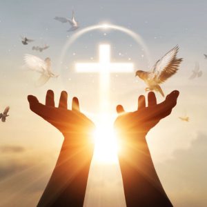 School of Ministry Certificate